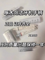 Woodpecker ultrasonic scaler handle original