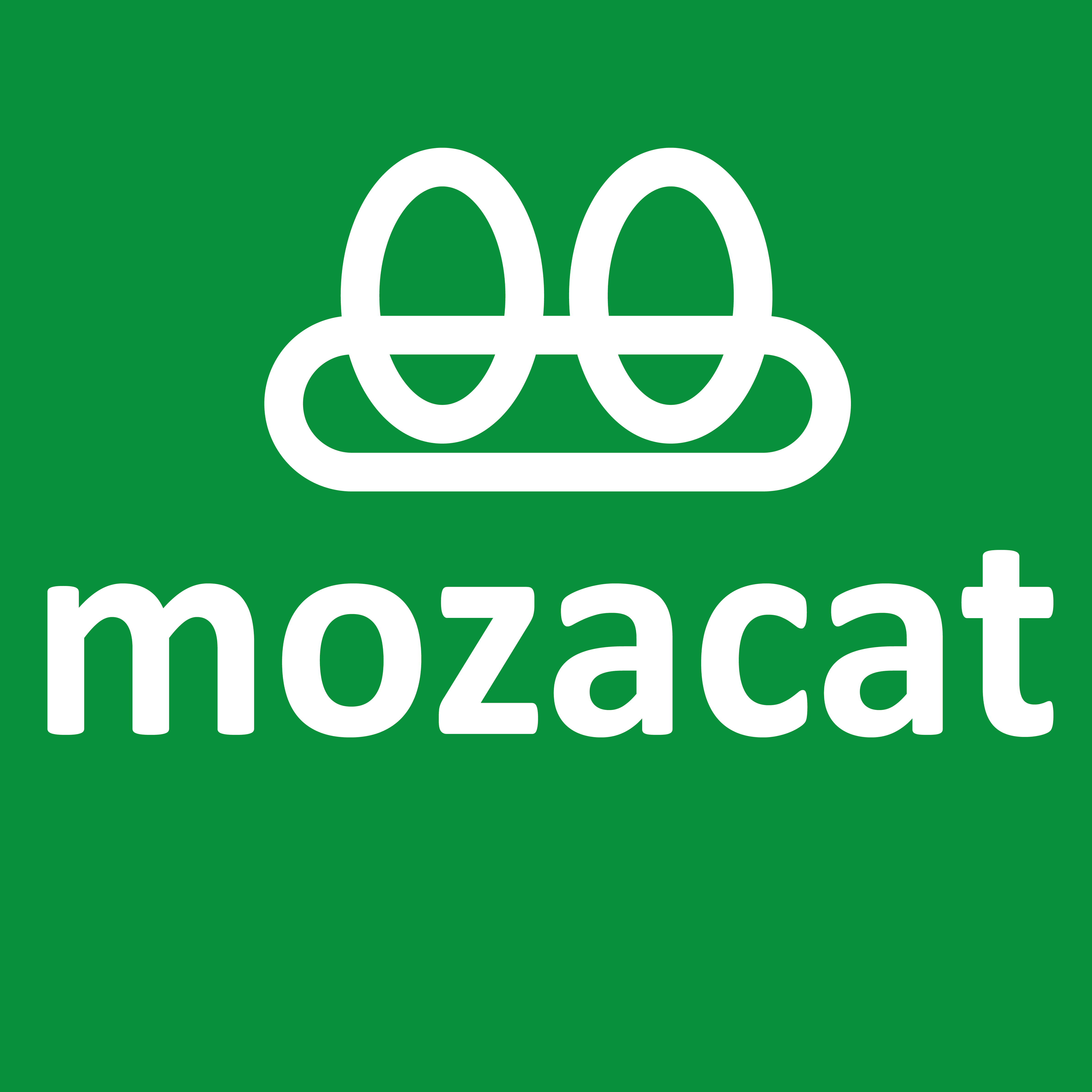 mozacat