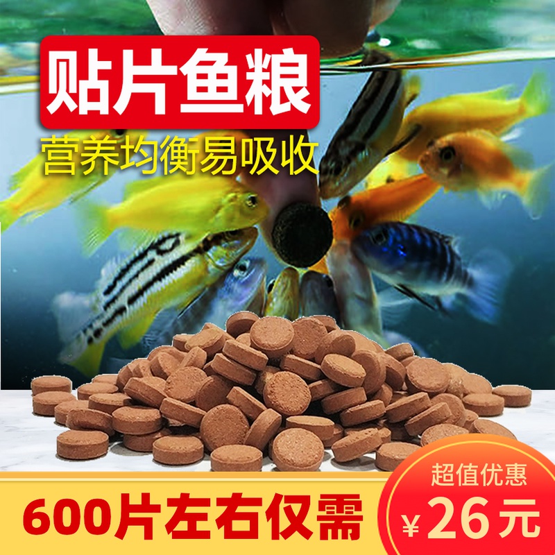 Small fish patch fish food guppy fish feed tropical fish lamp fish feed universal small paste fish food bulk