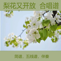 Pear Blossom is open again with three vocal range Chorizo Spectrum Piano F Tune Five Line Spectral Brief Accompaniment Audio