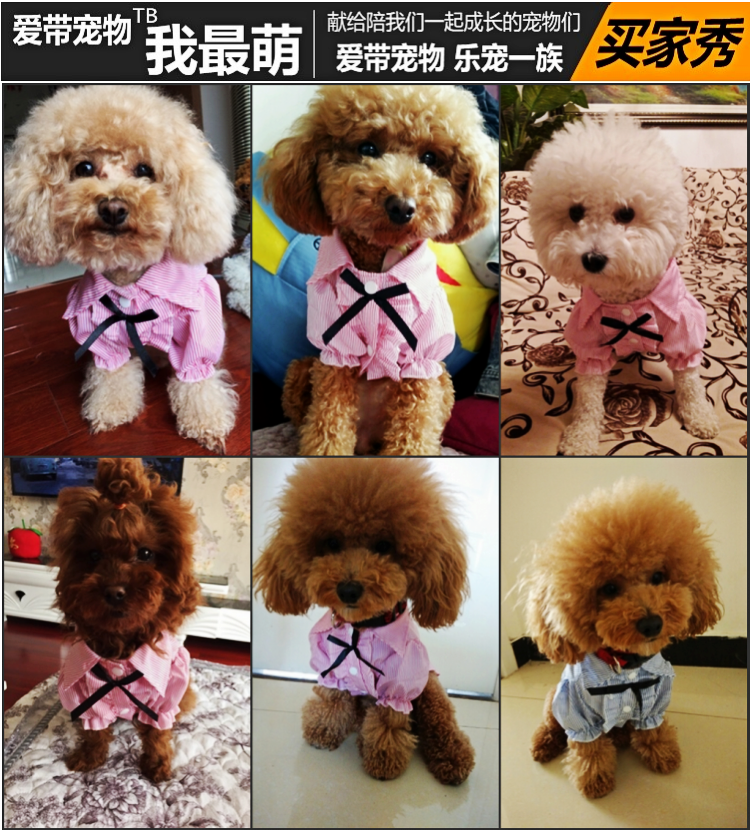 Quần áo chó mùa xuân hè Teddy VIP Bomi hơn gấu chó nhỏ quần áo thú cưng mèo chó sọc áo - Quần áo & phụ kiện thú cưng áo tết cho mèo	