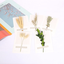 Plant dried flower card wheat rabbit tail grass card shooting props ornaments retro background flower photo props ins ins
