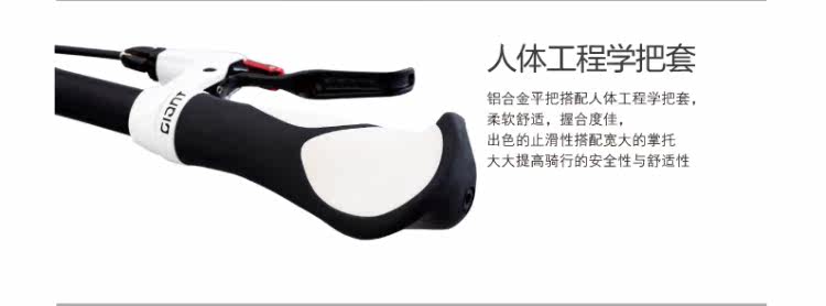 Poignées de vélo GIANT - Ref 2334646 Image 12