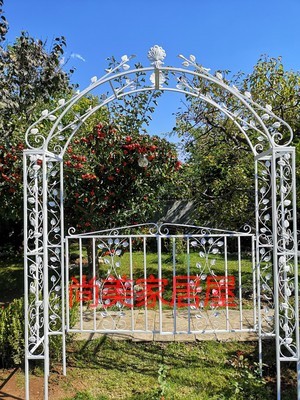 Garden arch Wrought iron flower door climbing frame Outdoor courtyard Liana moon climbing pergola Wrought iron flower climbing pergola arch
