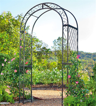 European flower arch flower frame clematis climbing vine flower frame wedding arch flower frame climbing vine plant arch frame