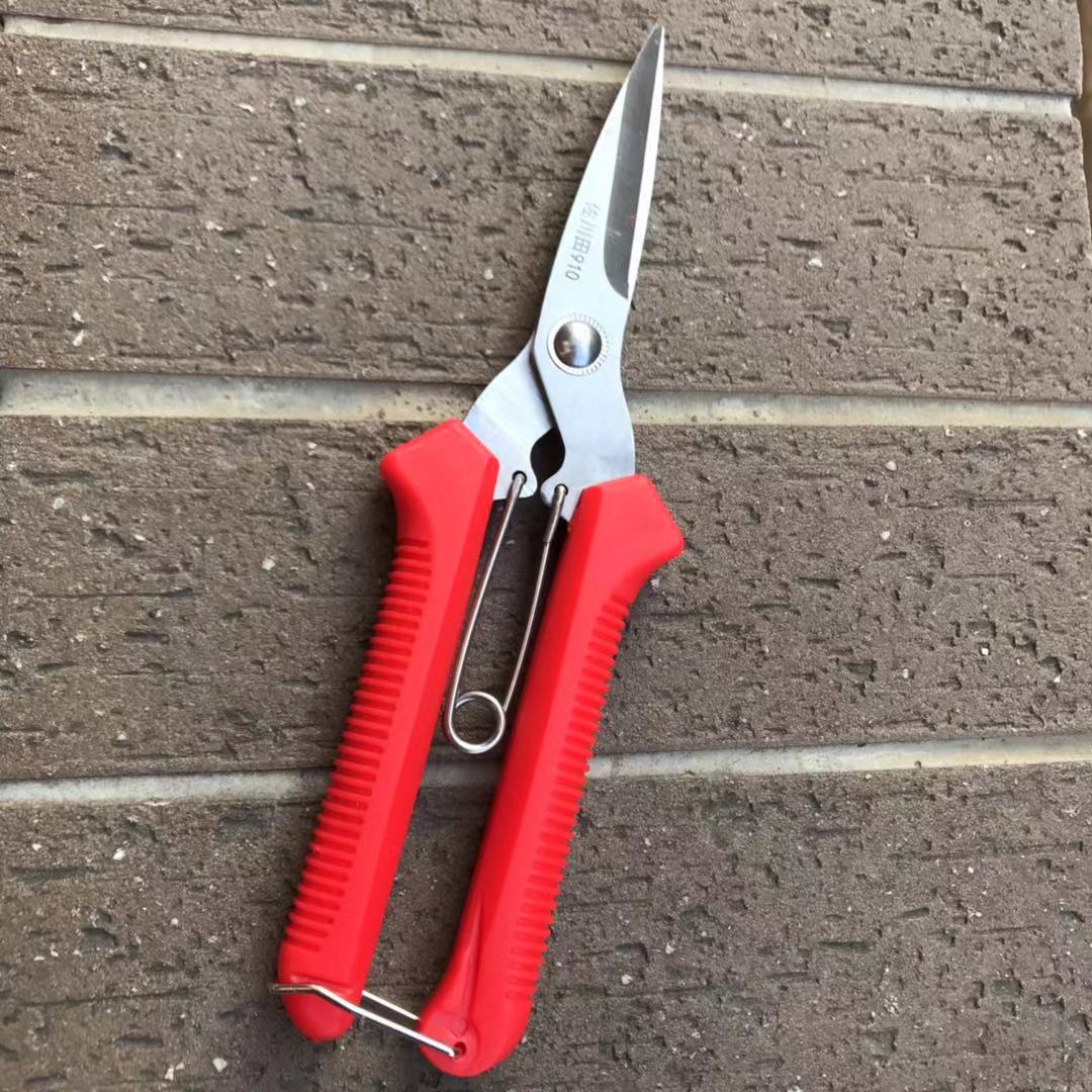 Rattan scissors grape pruning scissors gardening fruit picking scissors pruning citrus fruit picking thin fruit pruning fruit and vegetable - Taobao
