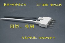 With line male head plug socket with line female head second foot male plug 220V socket national standard two-foot plug