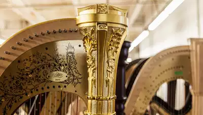 Harp deposit link Salvi Salvi Salvi LyonHealy leonhili import brand after consultation first consultation