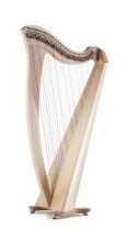 Italian imported Salvi Salvi Sarvi harp Una Una 38 string and Mia Miya 34 string keyboard small harp