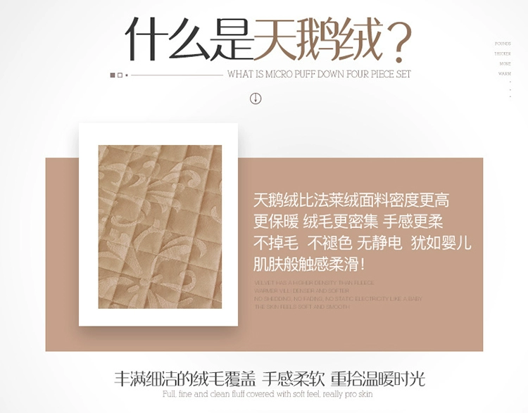 ren châu Âu giường bông váy bedspread đơn nhung dày ấm áp mùa đông Simmons đơn hoặc kép giường bìa trượt - Váy Petti