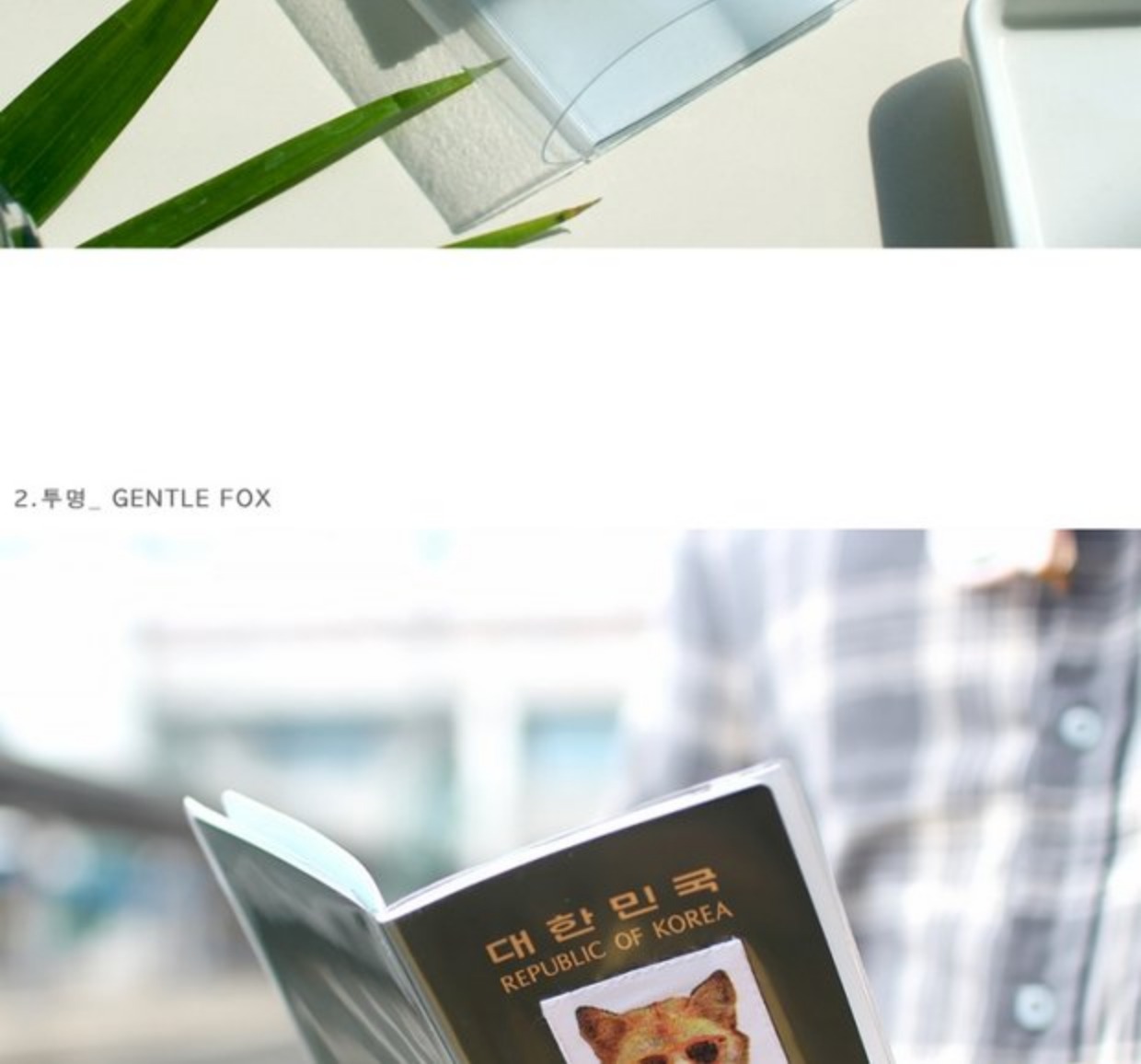 Hàn Quốc đích thực stillandchew thời trang đường phố trong suốt hộ chiếu hộ chiếu hộ chiếu di động đặt gói tài liệu du lịch vỏ bọc hộ chiếu dễ thương
