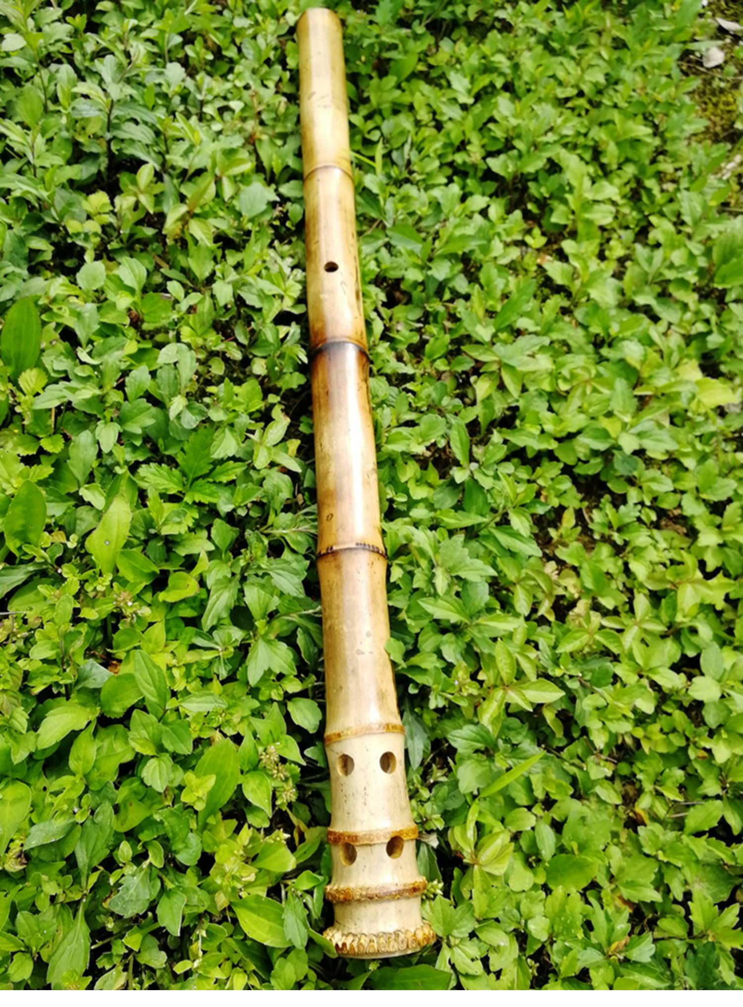 J72101G điều chỉnh đầu nguyệt quế tre già Tang Khẩu shakuhachi phía nam 箫 bên ngoài cắt sừng góc miệng màn ngọc cầm tay nhạc cụ - Nhạc cụ dân tộc đàn cổ cầm giá bao nhiều