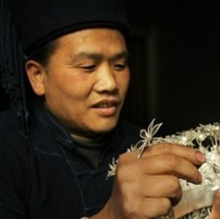 杨光宾