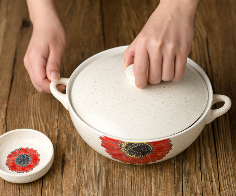 Nồi súp hai tai gia đình nồi súp sáng tạo nồi hầm nồi súp lớn bát chim yến bát bộ đồ ăn Nhật Bản - Đồ ăn tối bộ chén đĩa