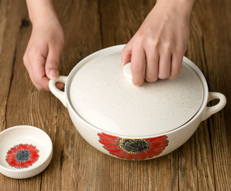 Nồi súp hai tai gia đình nồi súp sáng tạo nồi hầm nồi súp lớn bát chim yến bát bộ đồ ăn Nhật Bản - Đồ ăn tối dĩa nhựa