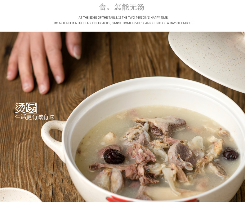 Nồi súp hai tai gia đình nồi súp sáng tạo nồi hầm nồi súp lớn bát chim yến bát bộ đồ ăn Nhật Bản - Đồ ăn tối bộ chén đĩa