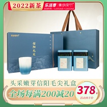 Xinyang Mao Jian 2022 New Tea Ming Former Tea Level Tea Tea Tea Sprout Tea Spring Tea Tender Sprout Gift Box Flagship Store