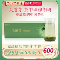 2022 New Tea Listing Head Doug Xinyang Mao Jian Ming Former Special Grade Green Tea Tea Spring Tea Ceremony Box Loaded Flagship Store
