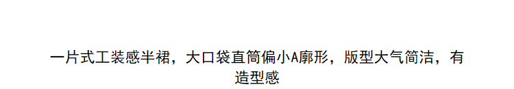 Lily2019春新款女装商务长A版型,不对称,大口袋半身