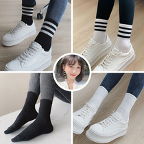Kaka the same shark pants with socks three bars pure color striped cotton Womens outer socks ins tide autumn and winter