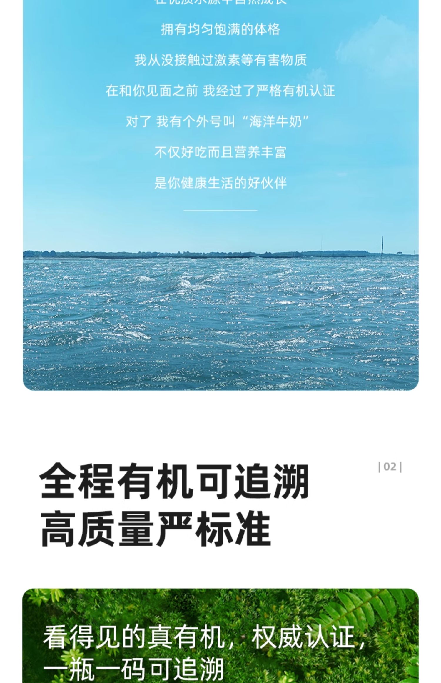 安享好物 安享A级蚝油-海天有机蚝油鲜露 国标