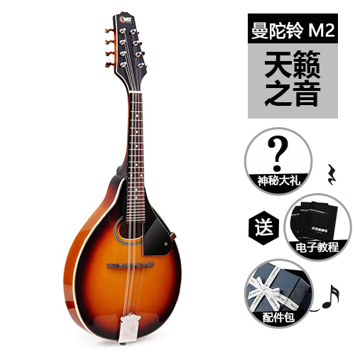 Meettone mandolin beginology Introduced new hands Advanced Mandolin Atlantic Musical Instruments Mandolls M2