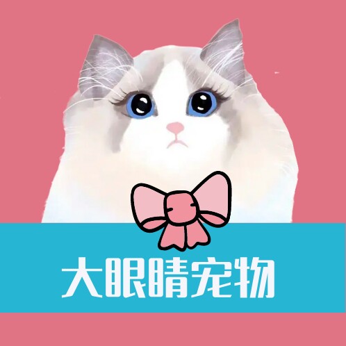 大眼睛宠物的LOGO