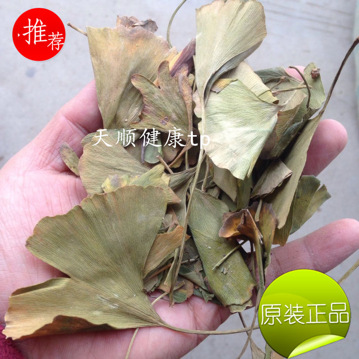 The dry goods of the ginkgo leaf
