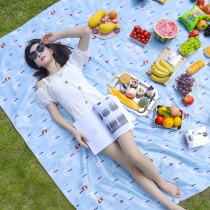 Outdoor picnic mat moisture-proof floor mat beach tent camping camping mat ins style picnic seat cushion spring outing