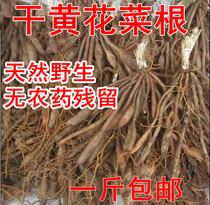 Fresh golden needle flower vegetable root Hemerocallis root dry product