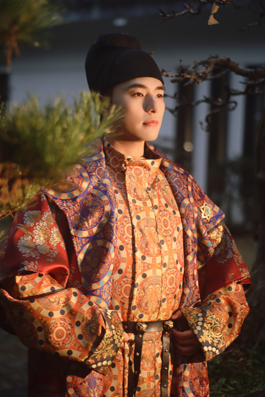 Liu Yu Hanfu Mianyang Fugui Tree Tang-Style Brocade Robe Dunhuang Style Reversible Wear
