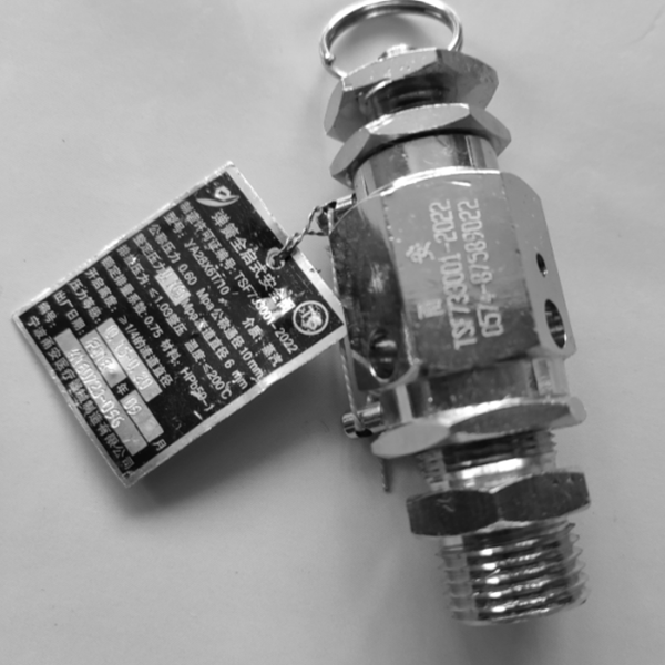 宁波甬安弹簧全启式安全阀YA28X6T/10整定压力0.165MPa灭菌器配件