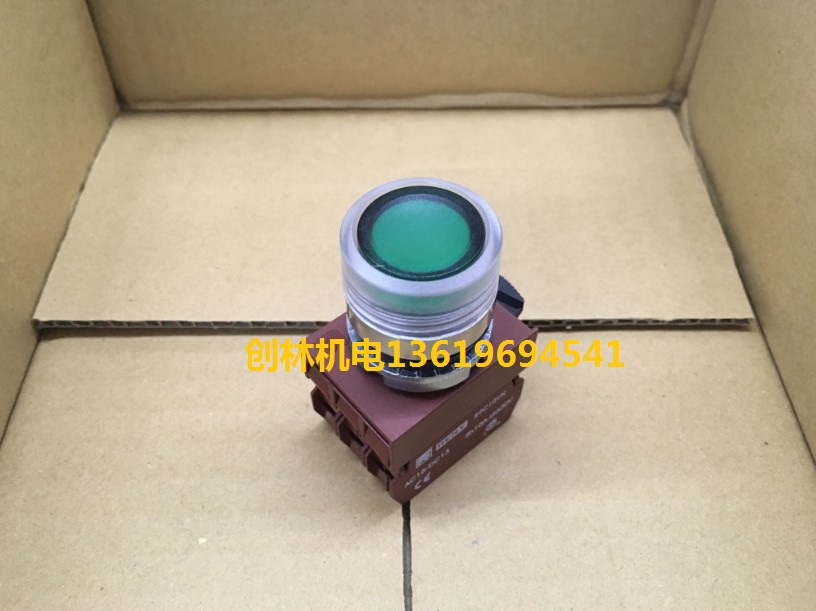 Original Thunder Force RENY with light button R2PIF-1A-220 green start button two normally open contacts