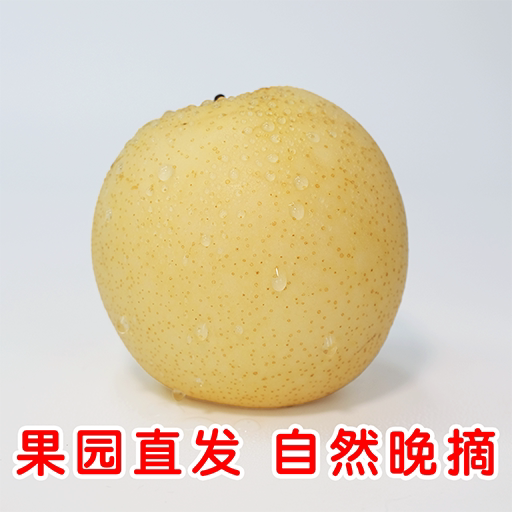 赵州老农民梨园