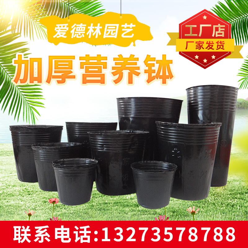 Thickened nutrition bowl plastic seedling pot planting nutrient bag seedling bag disposable flower pot fruit tree seedling seedling cup