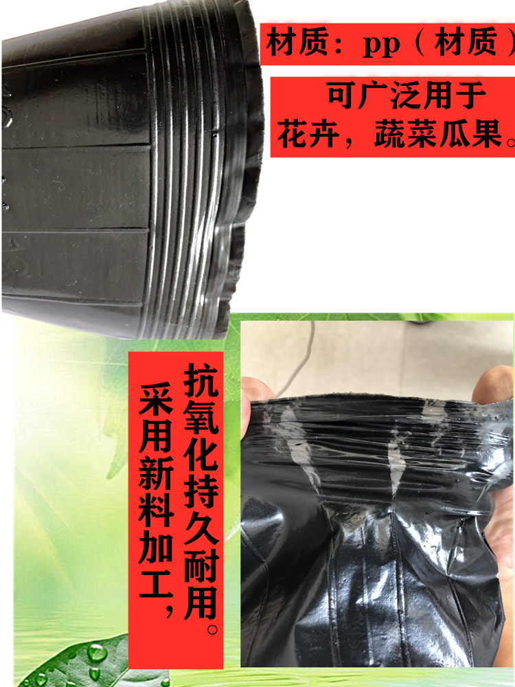 WeChat Picture_20200820173106_Dat .png