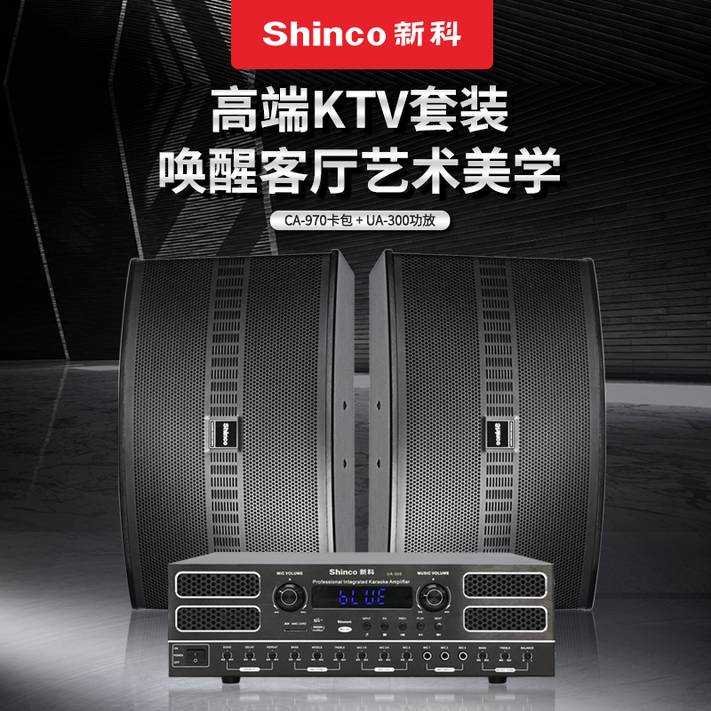 Shinco Shinko K3 Fitness Car Room Sound 12-inch Suit Fitness Room Dance Conference Training Speaker