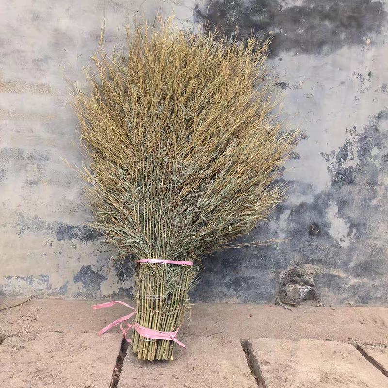 Special Broom for Sweepers, Encrypted Broom with Short Handle, Bamboo Broom, Road Sweeper Broom