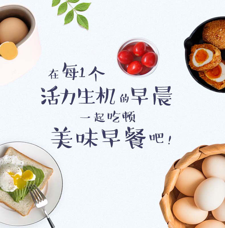 长虹 67度温泉蛋煮机 图2