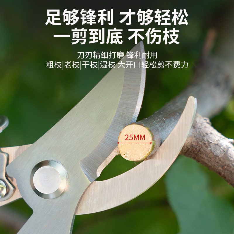 German Fruit Tree Pruning Shears for Cutting Fruit Branches, Gardening Pruning Shears, Labor-Saving Pruning Shears for Thick Branches