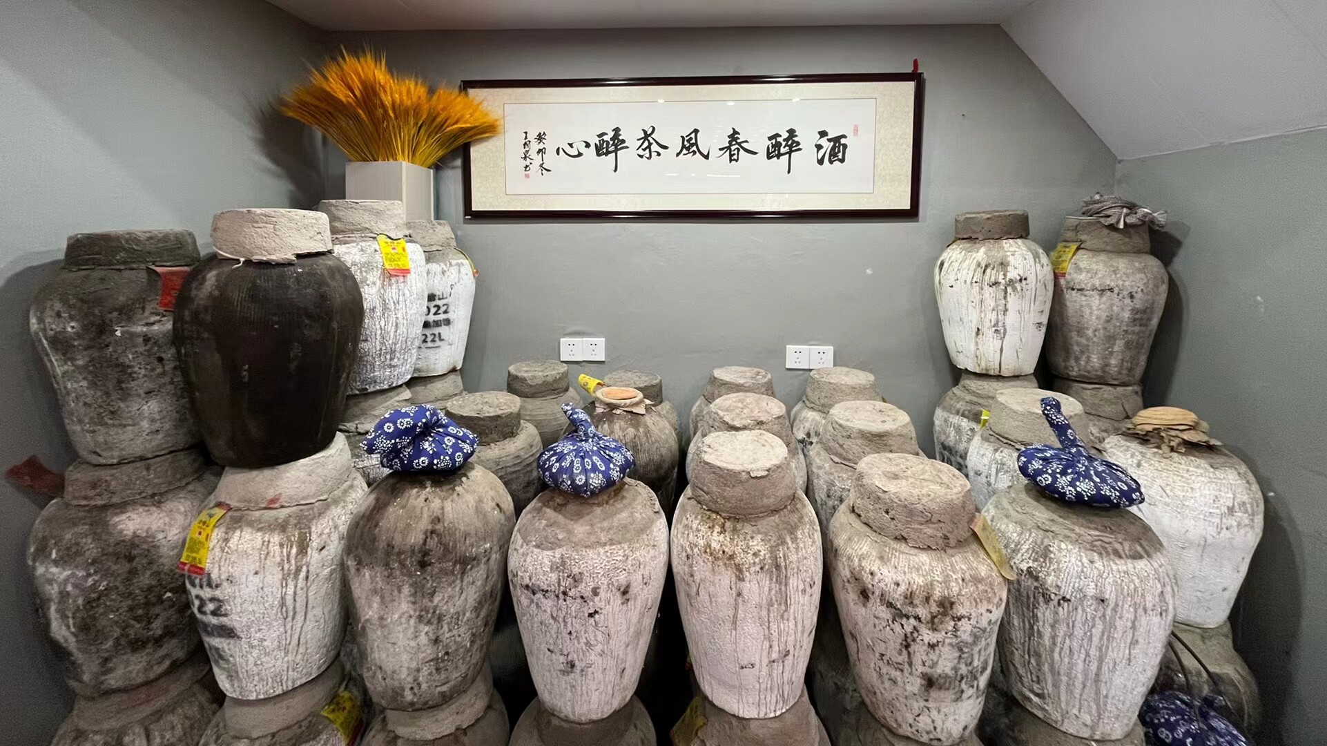 我没酒窝但有酒的LOGO