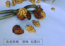 500g Guizhou Hezhang fresh walnuts wet walnuts to green skin old varieties of wild pecans now