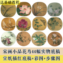 Meticulous painting bottom draft drawing draft beginner copy step with color drawing peony flower rice paper fan face