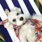 Летняя одежда, дышащее тонкое милое пляжное платье без рукавов, в цветочек