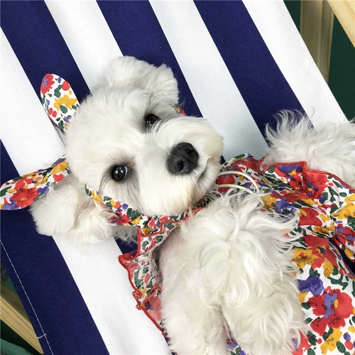 Летняя одежда, дышащее тонкое милое пляжное платье без рукавов, в цветочек