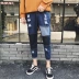 Mùa thu 2017 nam crop top quần jeans lỗ phiên bản Hàn Quốc của giới trẻ tự tu luyện tide 9 điểm chân quần thủy triều thời trang nam cao cấp Cao bồi