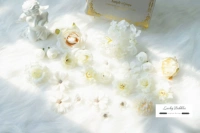 Чисто белый