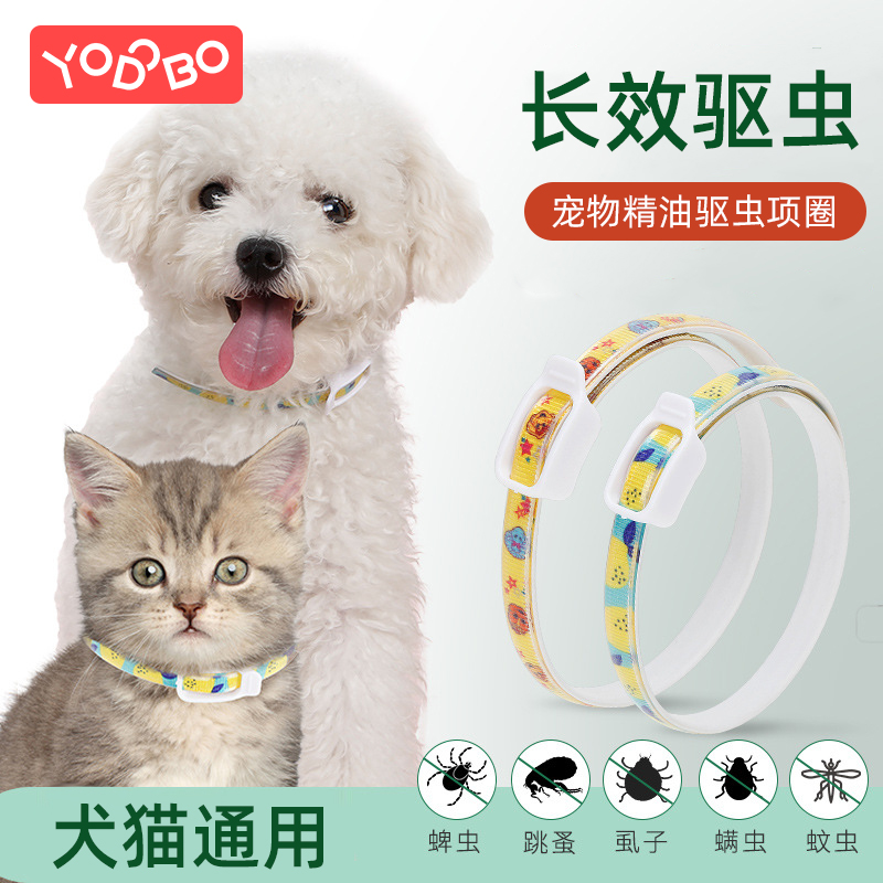 Kitty insect repellent collar anti-flea neck ring small dog in vitro to anti-lice mite Insect Supplies Pet Repellent neck ring