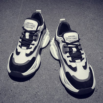 Male Shoes New Summer Breathable Boomer Shoes Heightening Thick Bottom Old Daddy Shoes Men Ins 100 Hitch Sneakers Men Casual Shoes