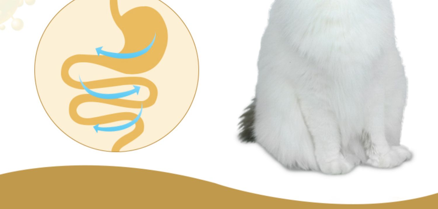 Cả hai sữa dê thạch sữa pudding sữa đóng hộp thành một con mèo với 15 viên nang thức ăn bổ sung cho mèo - Đồ ăn nhẹ cho mèo thức ăn mèo catsrang